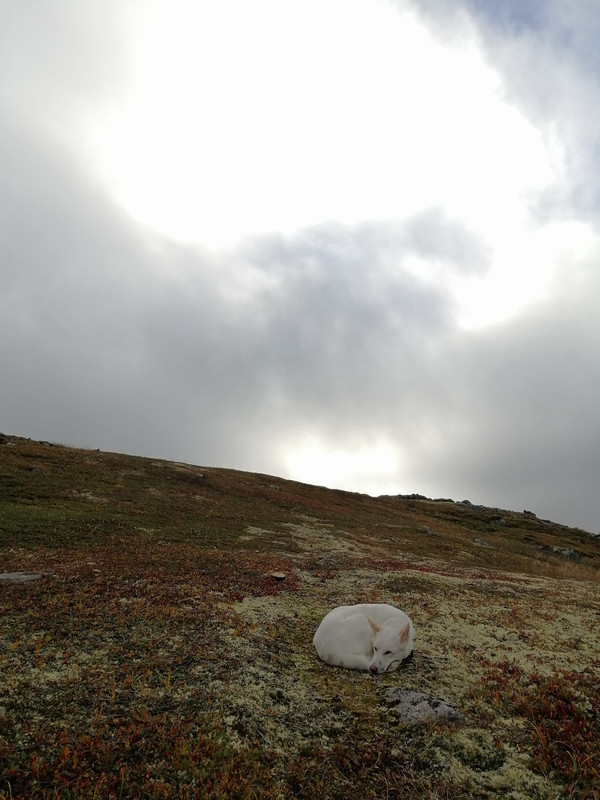 22ED95D5-B658-4D34-BB6E-4BE6C04762F6