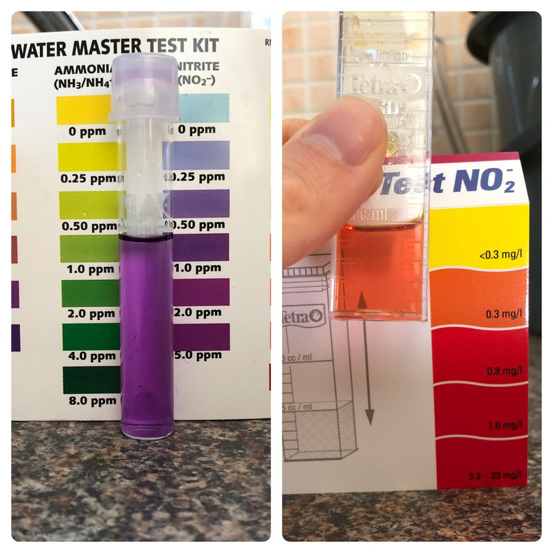 Photo 13-07-2020, 15 00 31