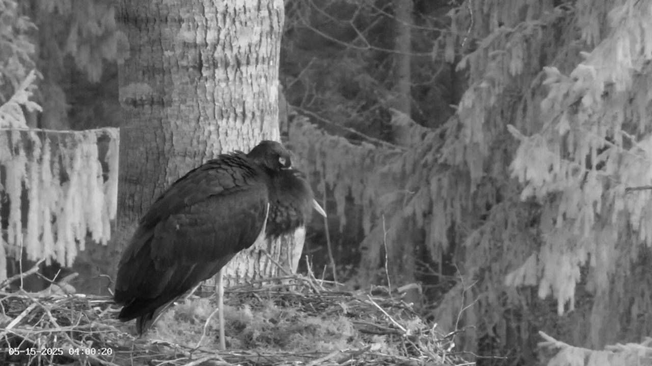 Ekrānuzņēmums 2025-05-15 111214