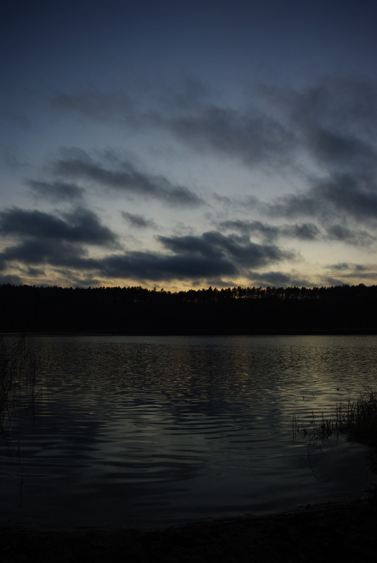 IMGP1245