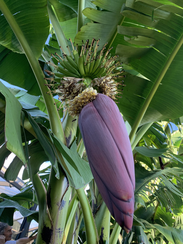 BD1CCBFE-1B9E-4E78-A01A-E427EEE12D35