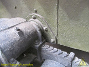 IMG-5231