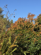 IMG-1784