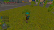 IMG-6704