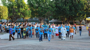 IMG-6449