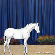 BBST Curtain Backdrop Blue