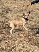 IMG_20230416_173506_073