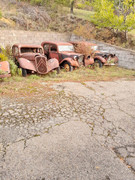 IMG-8532.jpg