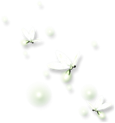 TADD-elements-Last-Dance-In-Paris-33