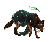 Cedarsong (10/13/25)