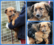 Be-Funky-collage-15.jpg&key=39c5c6cf3e65