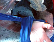 Ami-Dolenz-2-Children-Of-The-Night-1991