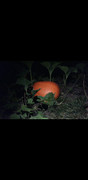 Screenshot-20260830-013455-Gallery