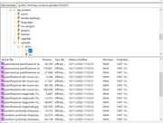 wp-content-uploads