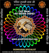 Family   Dispute Specialist in India Punjab Phillaur Jalandhar +91-9878836002   https://www.pandittu