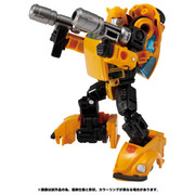 WFC-09-Bumblebee-3
