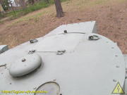 IMG-2564
