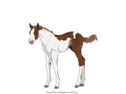 9F5085B7-4124-4F30-81F1-EC99414F550C