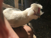 C8060C07-A165-43A7-B0BD-BB999D801976