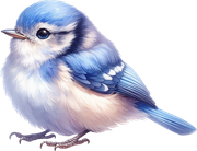 tk-Bunny-Kisses-bird1