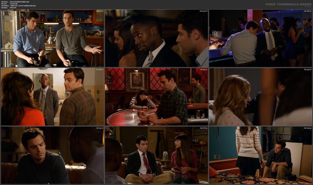 New Girl S02E03 Fluffer.mkv