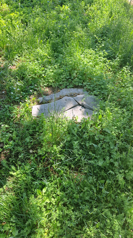 20250510-143902.jpg