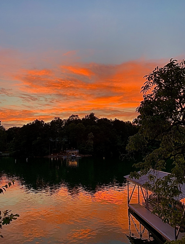 1EDBAE01-9B9F-410E-A0C7-FEECC95B9CF2