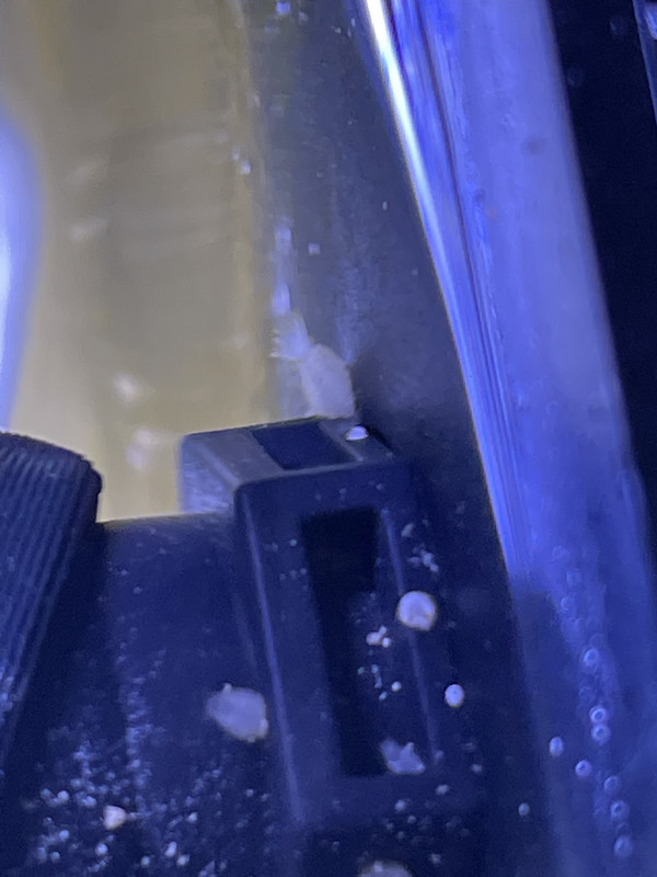 C82E2CCA-778B-4CA4-AC5D-EC0BEA3041F5