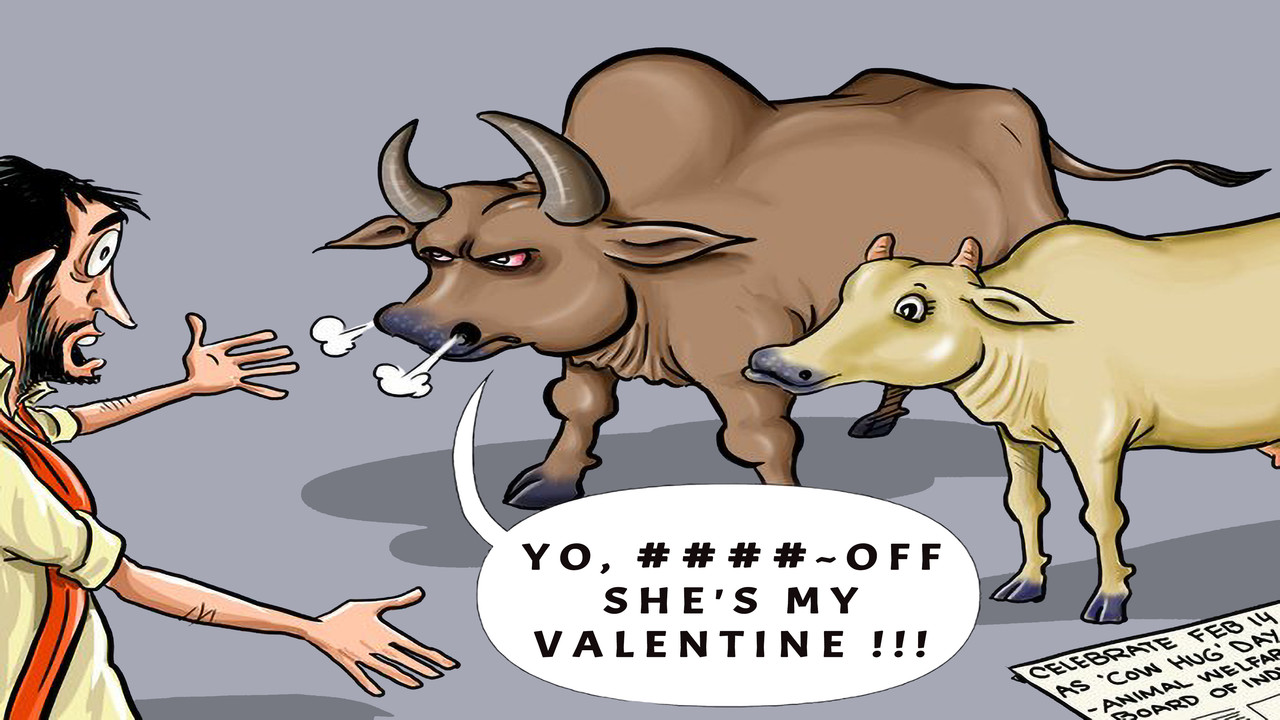 Hug-A-Cow.jpg