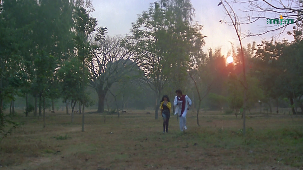 vlcsnap 2025 11 29 08h33m38s478