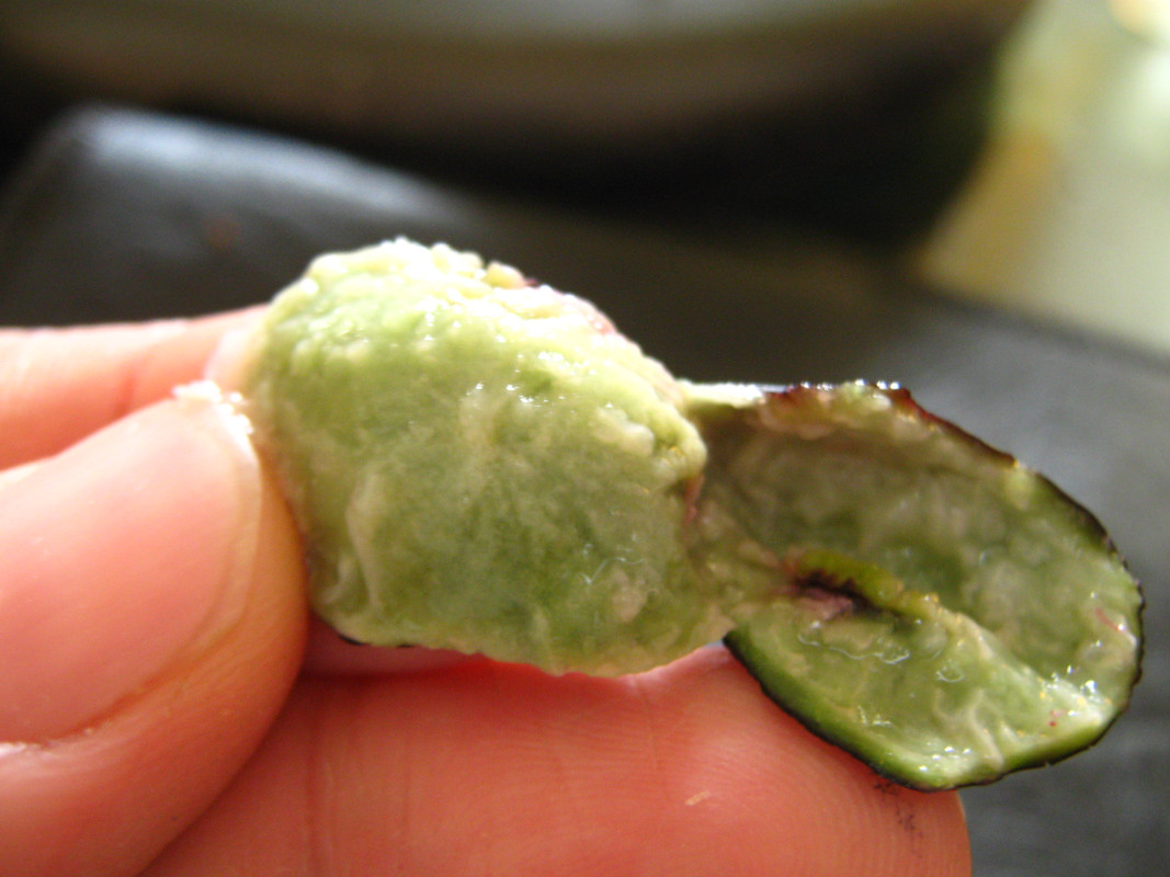 jaboticaba_fruits-20140829T140022