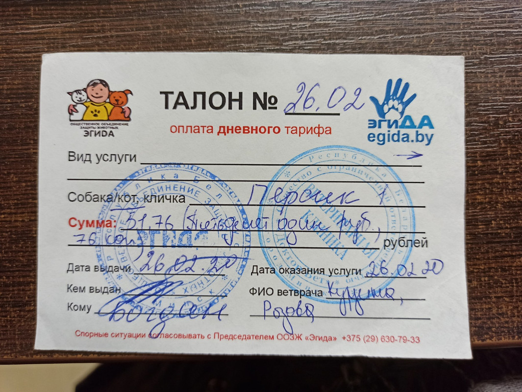 талон