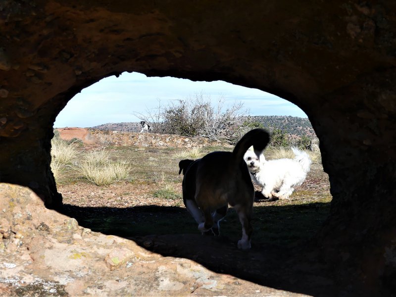 YACIMIENTO ARQUEOLOGICO DE TIERMES-16-2-2020 - Soria y sus pueblos-2010/2013/2020 (56)