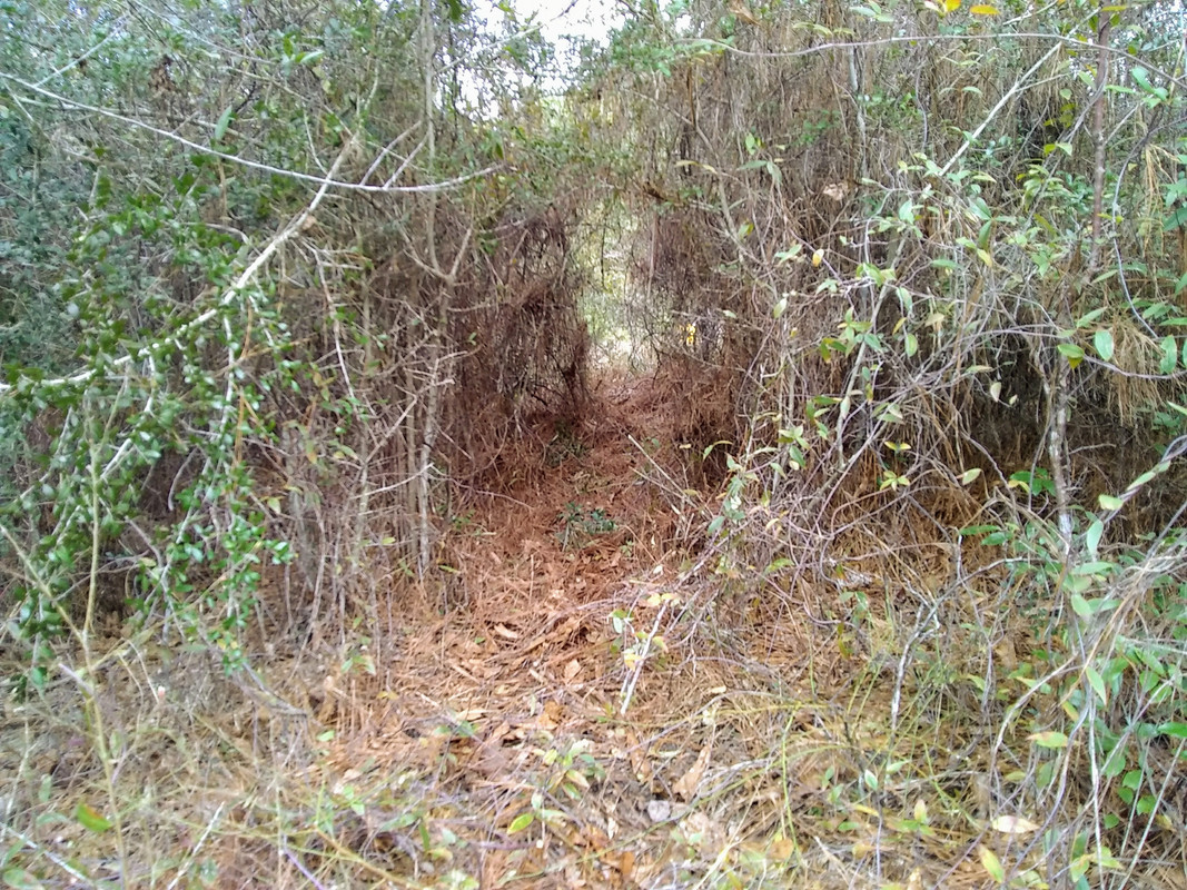 IMG_20200208_093042244