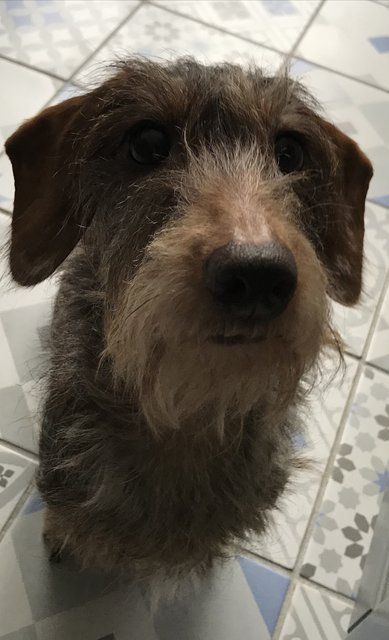 [Image: BADC57-BB-F19-C-46-BA-BBF7-24-E4-AB71-C451.jpg]