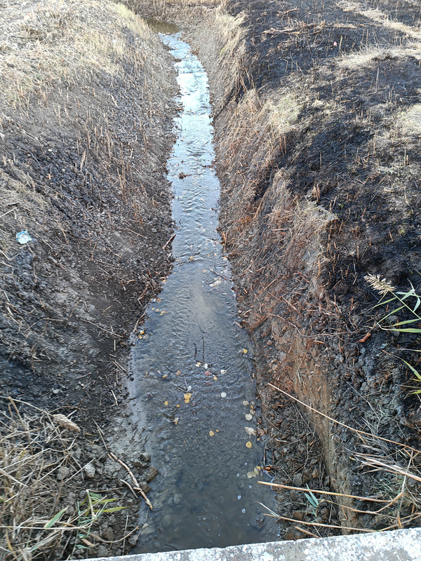 IMG 20251024 172123 864