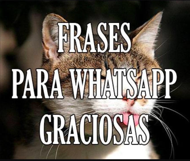 Imágenes para WhatsApp de todo tipo