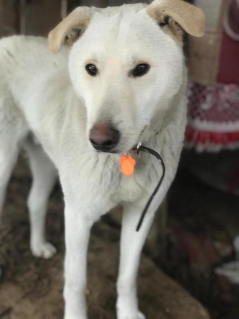 gkVCcfDMnhI - копия