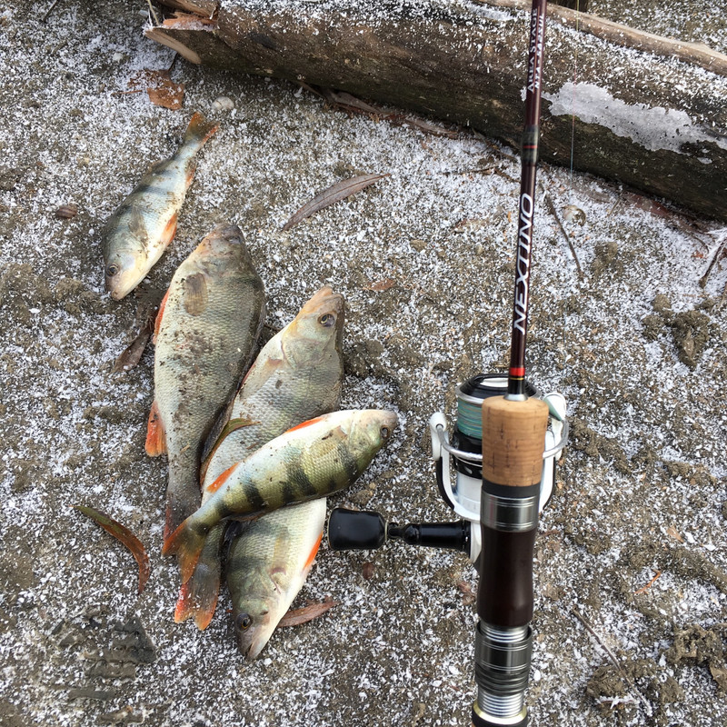 200189C6-52BF-4039-8023-C0B76A4F745D