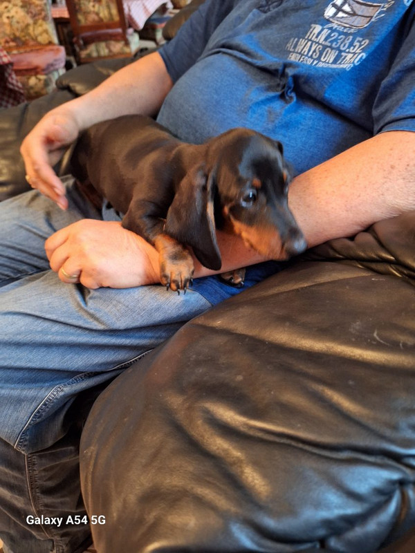 [Image: IMG-20240923-161336.jpg]