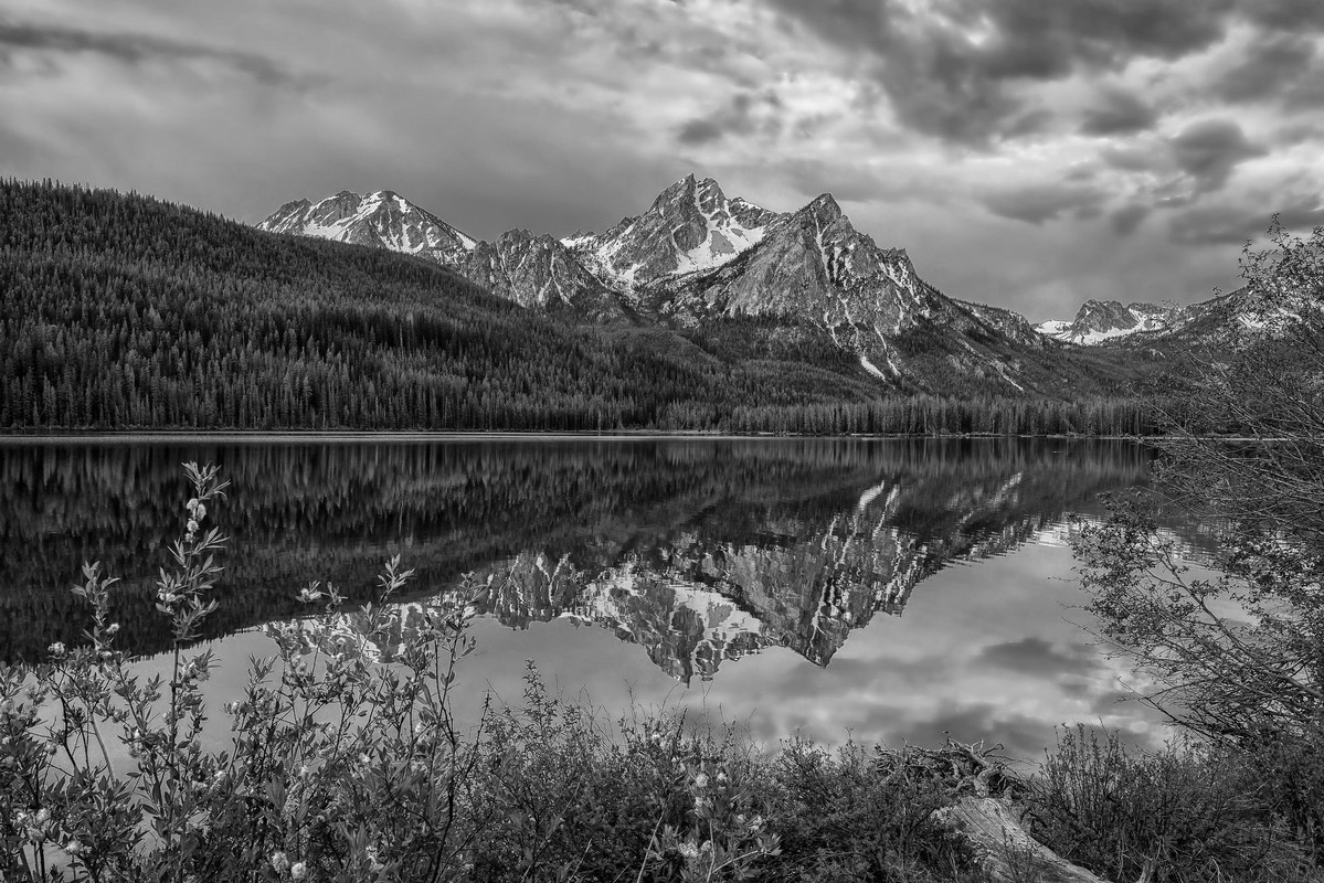 14206595402-7b49c699ef-k.jpg