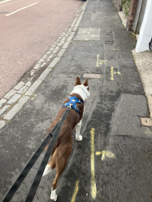 E268DE80-73CD-4191-B9BE-A69D3BB7F03B