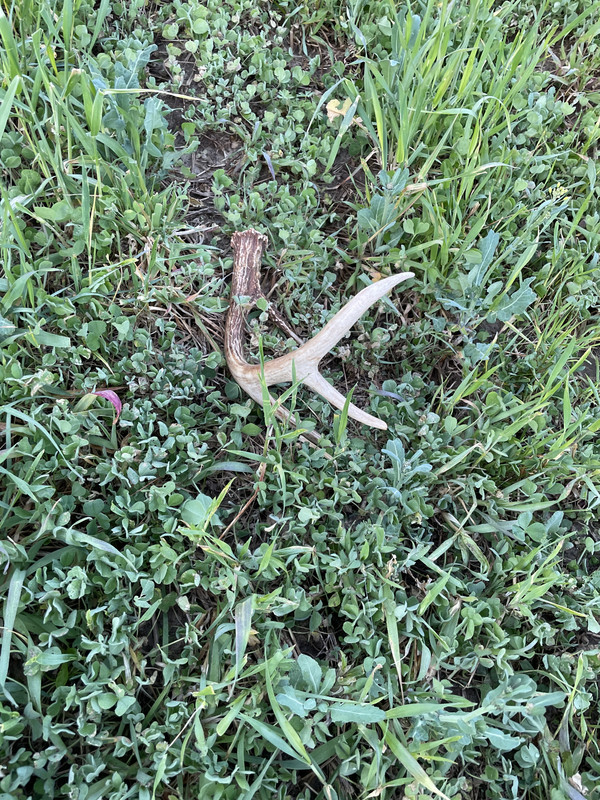 DF95A71A-5960-4D37-9955-7FBEF8CFB8CD