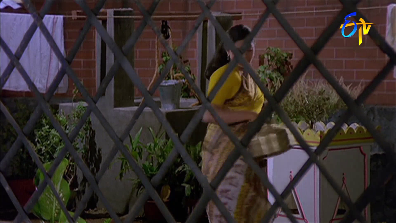 vlcsnap 2026 02 04 13h56m59s003