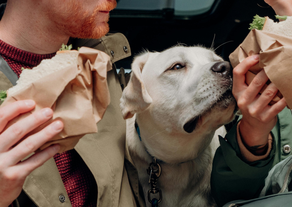 mental-recovery-after-a-music-festival