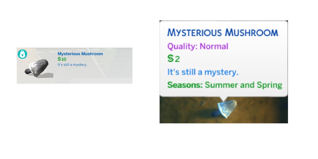 Mysterious-Mushroom.jpg