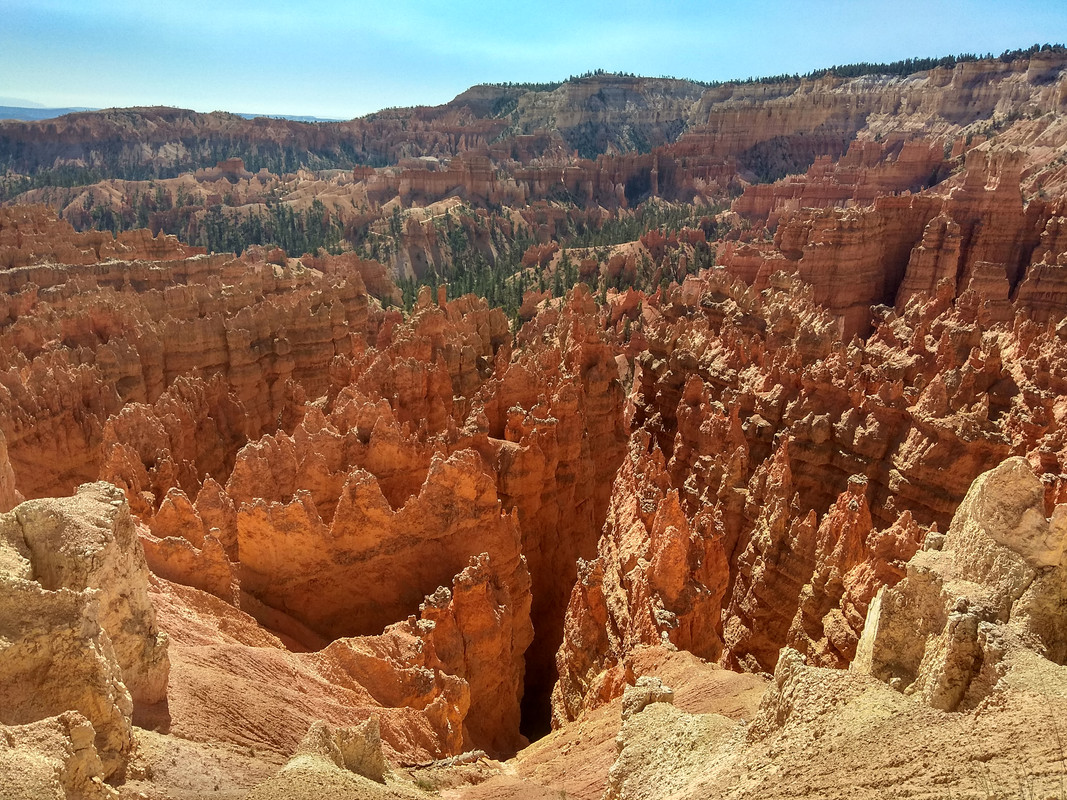 IMG_20180914_111928_HDR