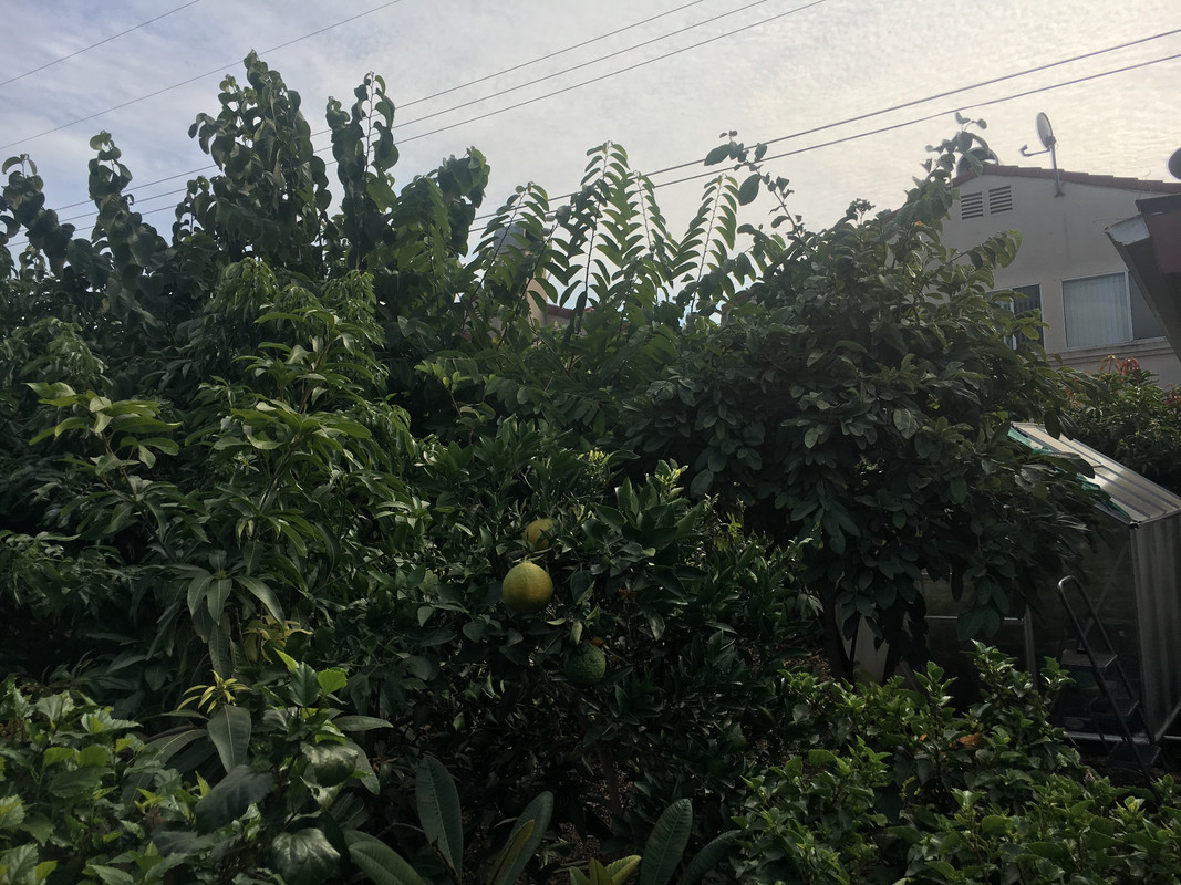 8D7B0713-E5C4-400D-97EA-084A0F9D40B3