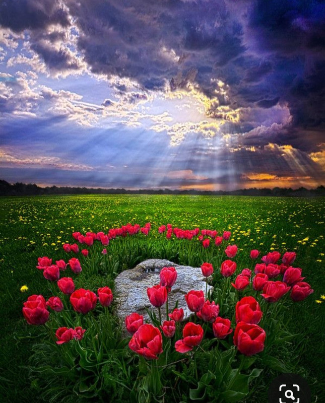 Screenshot_20231104_214414_Pinterest