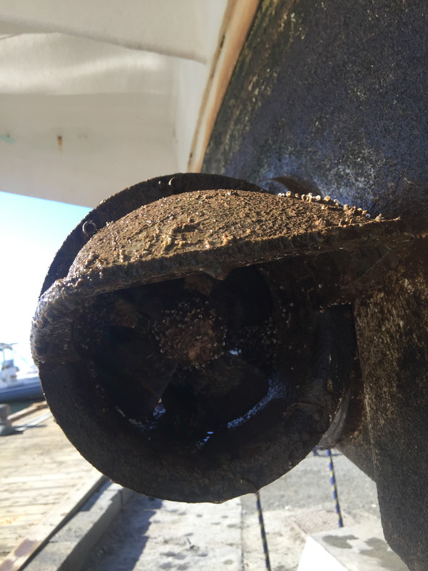 D8BED01D-E3C4-4B04-98A9-2D4EDB06ACE0